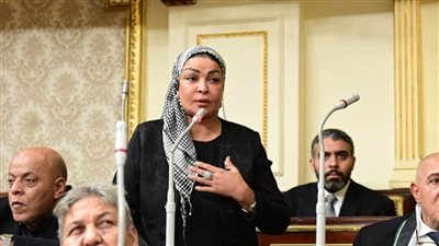 ألفت المزلاوي: يجب على البرلمان العربي فضح الجرائم الإسرائيلية أمام العالم بأسره