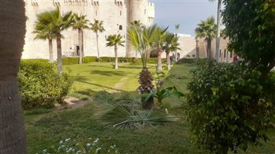 تنسيق وإزالة المخالفات من حدائق قلعة قايتباي بالإسكندرية