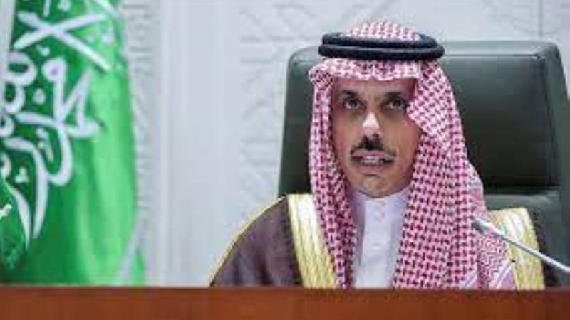 الأمير فيصل بن فرحان