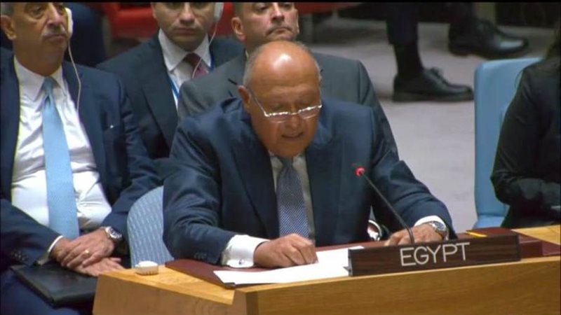 وزير الخارجية سامح