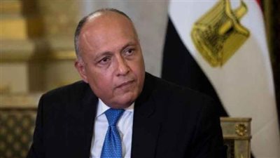 شكري يؤكد لنظيره البريطاني ضرورة الوقف الفوري للتصعيد العسكري الإسرائيلي في غزة