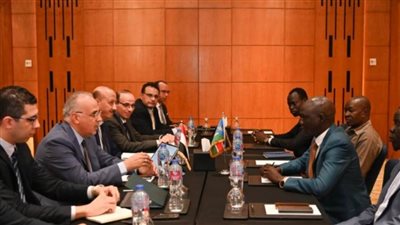 وزير الري: مصر تسعى لتعزيز التعاون بين الدول الإفريقية خلال رئاستها للأمكاو 