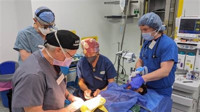 الرعاية الصحية تطلق قافلة عمليات تجميل الأطفال والكبار في مستشفياتها بالأقصر