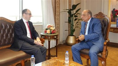 وزير قطاع الأعمال يبحث مع سفير النمسا بالقاهرة سبل تعزيز التعاون الاقتصادي بين البلدين