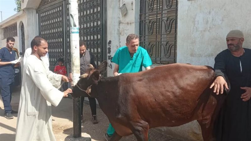 جانب من القافله