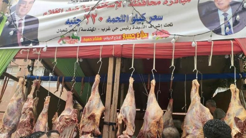 محافظ الإسكندرية: