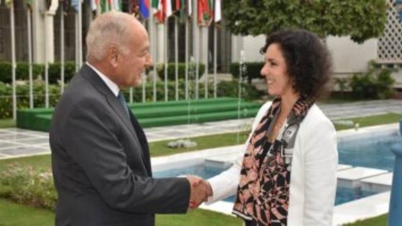 أبو الغيط و وزيرة