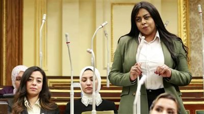 عضو إفريقية النواب تندد باستمرار التصعيد والحرب علي الأشقاء في غزة