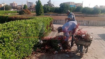 وفقًا لحملات إزالة الإشغالات..  رفع ١٢٠ طن مخلفات ببلطيم