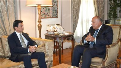 مصر وتايلاند تؤكدان ضرورة تنسيق الجهود لإرساء هدنة إنسانية تحفظ أرواح الفلسطينيين