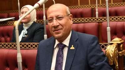 النائب عمرو عكاشة: تطوير العشوائيات يعد انتصارًا لحقوق الإنسان المصري 