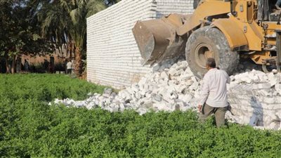 إزالة 62 حالة تعد على الأرض الزراعية وأملاك الدولة بـ 4 مراكز بالمنيا