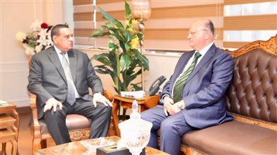 وزير التنمية المحلية يتابع مع محافظ القاهرة تنفيذ إزالة التعديات 