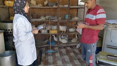 حملة رقابية علي الأسواق ومحلات اللحوم والأسماك بالوادي الجديد  