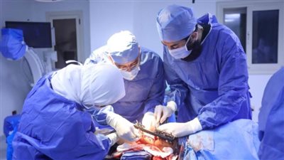 مستشفيات الصحة تواصل استقبال المصابين الفلسطينيين لليوم الثالث على التوالي