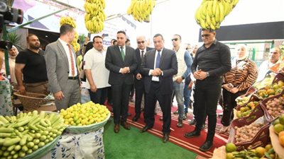وزير التنمية ومحافظ الدقهلية يتفقدان منفذ 