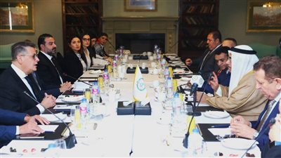 العسومي: تحركات برلمانية عربية موحدة لتوثيق جرائم الاحتلال الإسرائيلي والتوجه للجنائية الدولية