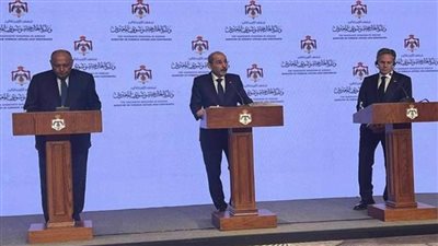 عاجل| شكري: قتل المدنيين في غزة واستهداف أطقم الإنقاذ لا يمكن تبريرها