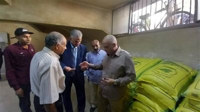 الزراعة تتابع الاستعداد لـ زراعة القمح وتوفير التقاوي المعتمدة بمحافظات الصعيد