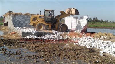 إزالة التعديات على 3 قراريط بالأراضي الزراعية في بيلا