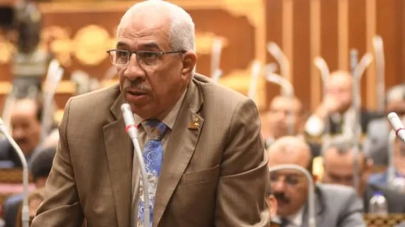 مجدي سليم وكيل لجنة