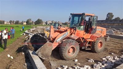 إزالة التعديات على الأراضي الزراعية بدسوق