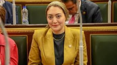 النائبة أسماء الجمال تتقدم بطلب إحاطة لتطهير نهر النيل بمحيط مركز الصف