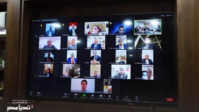 الحملة الرسمية للمرشح الرئاسي عبد الفتاح السيسي تلتقي وفداً من المصريين في الخارج 