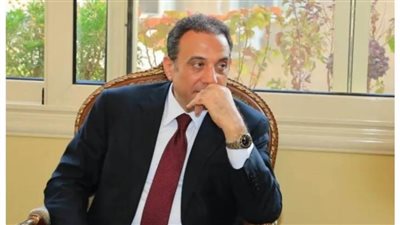 بالفيديو...عمر هريدي: الشعب المصري يدعم قرارات الرئيس السيسي الحاسمة بشأن القضية الفلسطينية