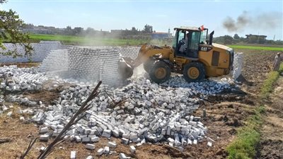 إزالة 96 حالة تعدٍ على الأراضي الزراعية وأملاك الدولة بالبحيرة 