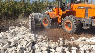 محافظ الإسكندرية يوجه بإزالة التعديات على الأراضي الزراعية