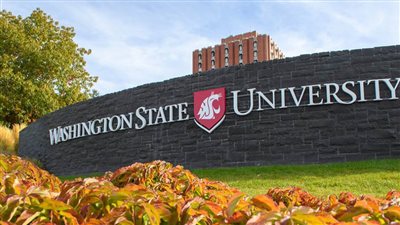 جامعة واشنطن تطور نظام توليد الطاقة لأجهزة تنظيم ضربات القلب