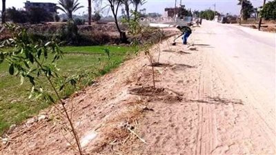 محافظ المنوفية يوجه بتكثيف جهود مبادرة 100 مليون شجرة