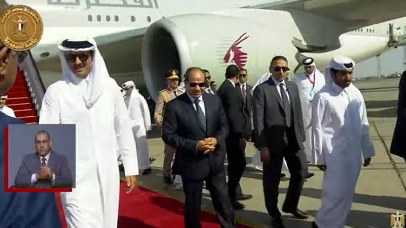 الرئيس السيسى وأمير