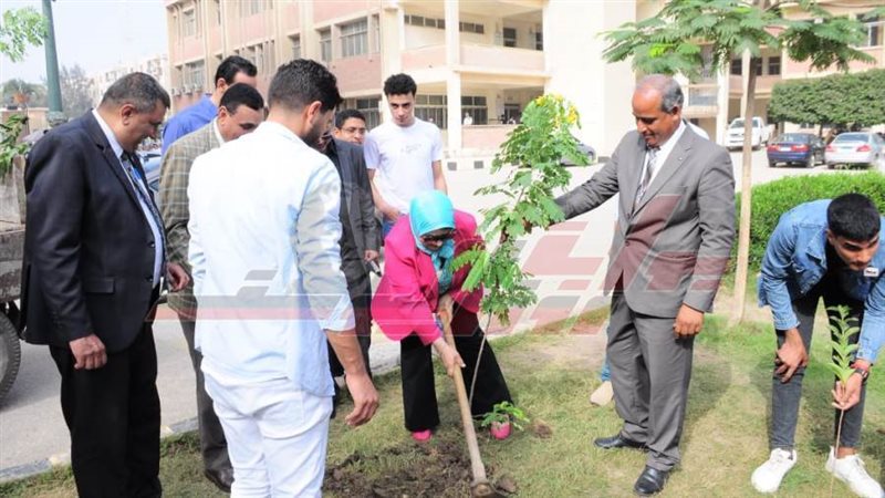 جامعة كفر الشيخ