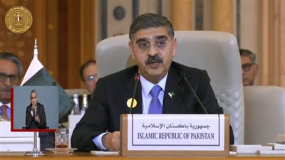 رئيس الوزراء الباكستاني: إسرائيل حولت غزة إلى جحيم حي