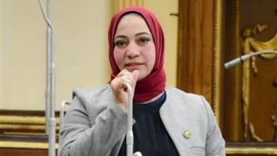 صفاء جابر تشيد بكلمة الرئيس السيسي في قمة الرياض