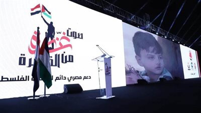 جيهان مديح: نقف خلف القيادة السياسية صفًا واحدًا