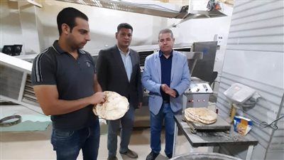 ضبط مبيدات زراعية منتهية الصلاحية.. وتحرير 53 محضرًا تموينيًا بالبحيرة