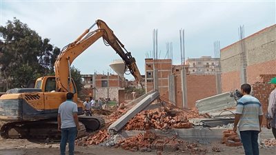 إزالة 60 حالة تعدٍ على الأراضي الزراعية بالبحيرة