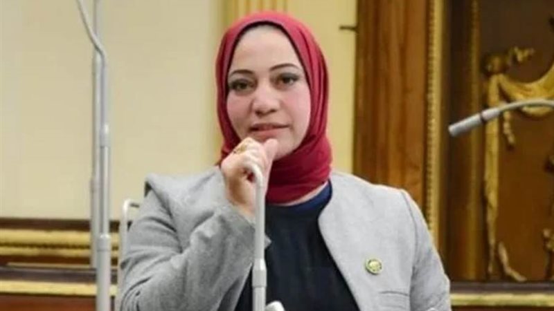 النائبة صفاء جابر