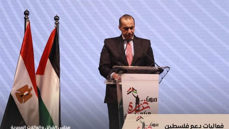 المستشار محمود فوزي