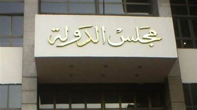 27 نوفمبر.. الحكم في دعوى ندب لجنة تقصي حقائق لتوثيق جرائم إسرائيل 