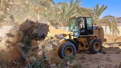 استرداد 1890 فدانًا وإزالة ٤١ حالة تعدٍ على أملاك الدولة بالوادي الجديد