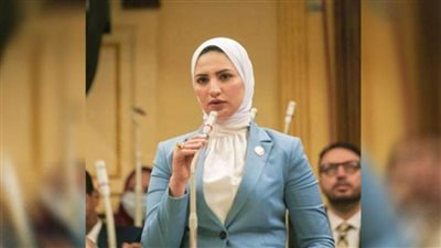 النائبة نشوى رائف: المشروعات الصغيرة والمتوسطة ومتناهية الصغر تساعد في سد احتياجات السوق المحلية