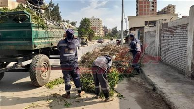 حملات مكثفة للنظافة ورفع الإشغالات بكفر الشيخ