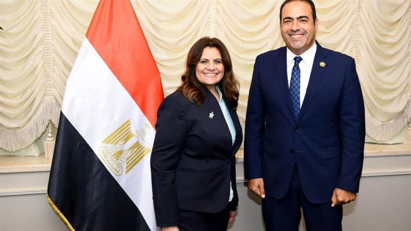 رئيس شباب المصريين