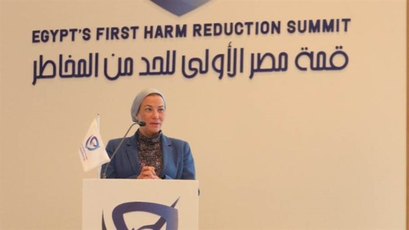 د. ياسمين فؤاد وزيرة