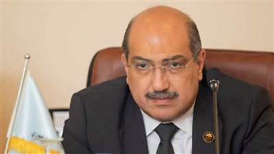 إيهاب وهبة: وعي المصريين أكبر وأقوى من الدعوات الهدامة لمقاطعة الانتخابات الرئاسية