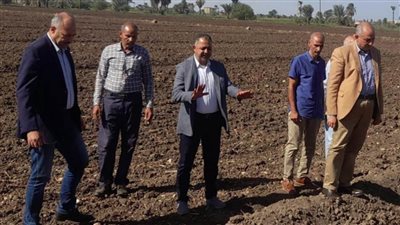 الزراعة تتابع محصول القمح في الفيوم وقنا والأقصر